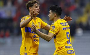 Tigres | Imago7
