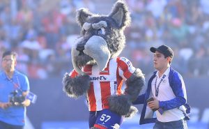 Liga MX: ¿por qué la mascota del San Luis es un perro?