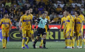 Tigres | Imago7
