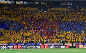 Tigres salió en defensa de los Libres y Lokos. Foto: Imago7
