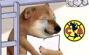 Memes América | Especial
