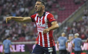 El Pollo sigue sumando fichas por su gran ética – Imago7
