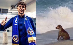 Igor Lichnovsky | @ClubAmerica y especial
