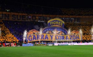 Los Felinos prepararán una buena recepción para la final – Imago7
