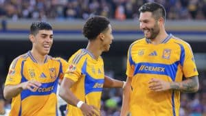 Tigres