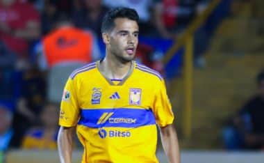 Diego Reyes, Tigres