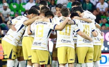 Pumas