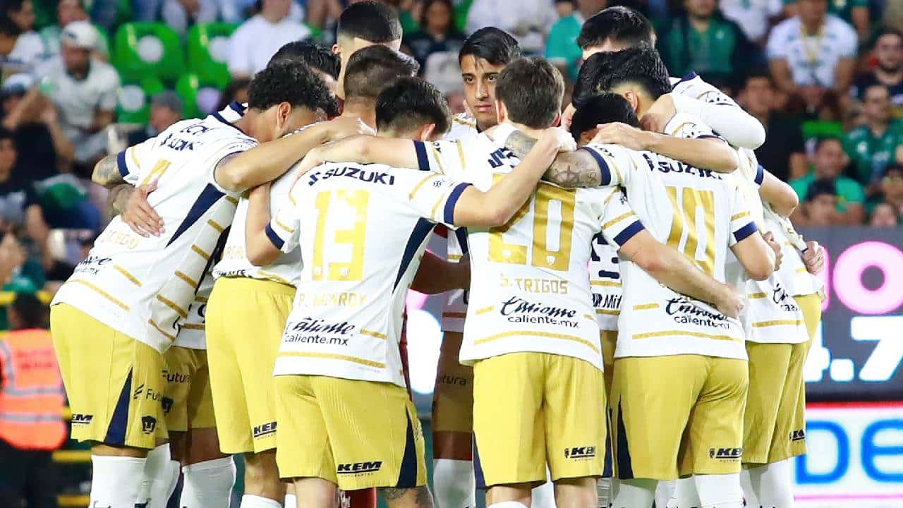 Pumas