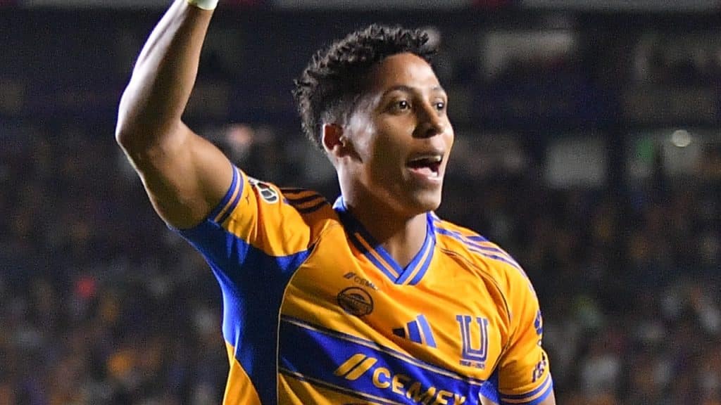 Ozziel Herrera, Tigres