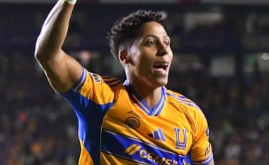 Ozziel Herrera, Tigres