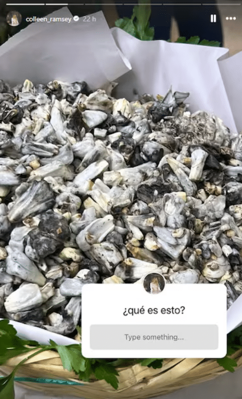 Captura-de-pantalla-2025-08-31-203135.png