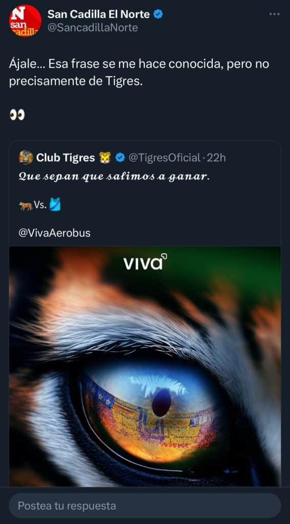 WhatsApp-Image-2025-08-08-at-20.53.26-567x1024.jpeg