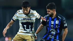 Pumas