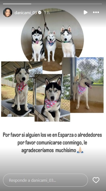 hijastra-de-keylor-huskys.jpeg
