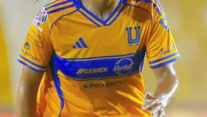 Tigres Femenil