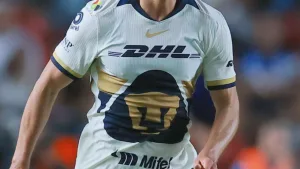 Pumas