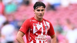 Julián Álvarez, Atlético de Madrid