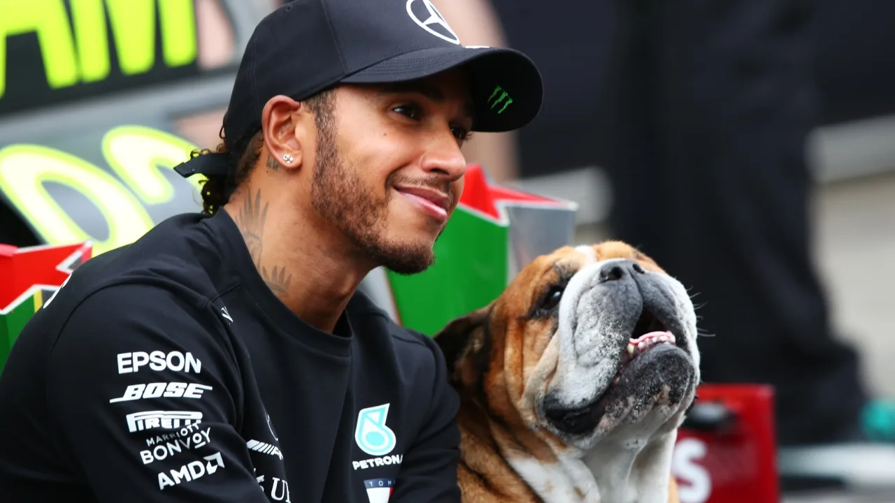 Lewis Hamilton, Roscoe