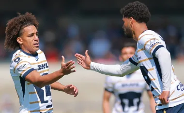 Pumas
