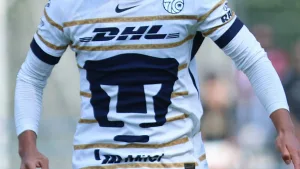 Pumas