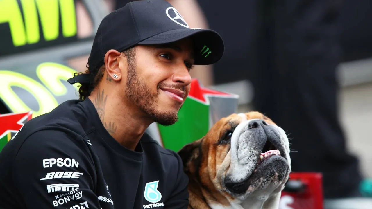 Lewis Hamilton y Roscoe.