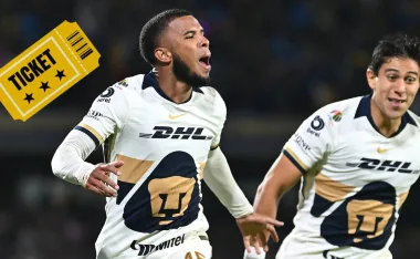 Pumas