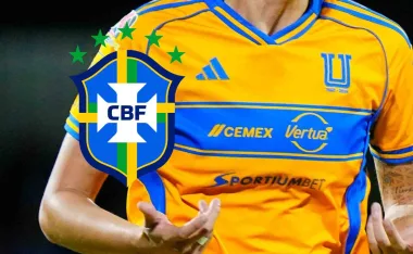 Tigres Femenil, Selección de Brasil