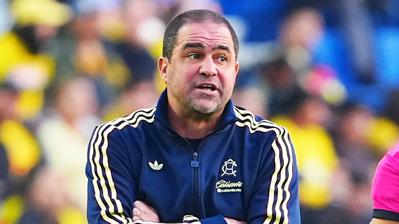 André Jardine podrá contar con un futbolista clave para la siguiente temporada.