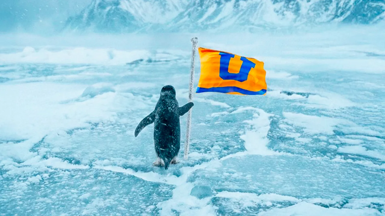 El posteo de Tigres Femenil del pingüino que se ha hecho viral.