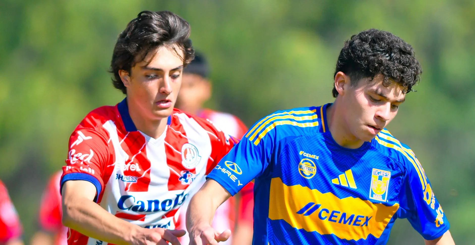 En las últimas horas se confirmó el traspaso de Emiliano Muñoz desde la cantera del San Luis al fútbol europeo.