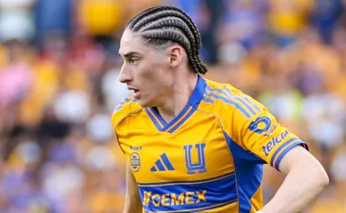 Marcelo Flores, Tigres