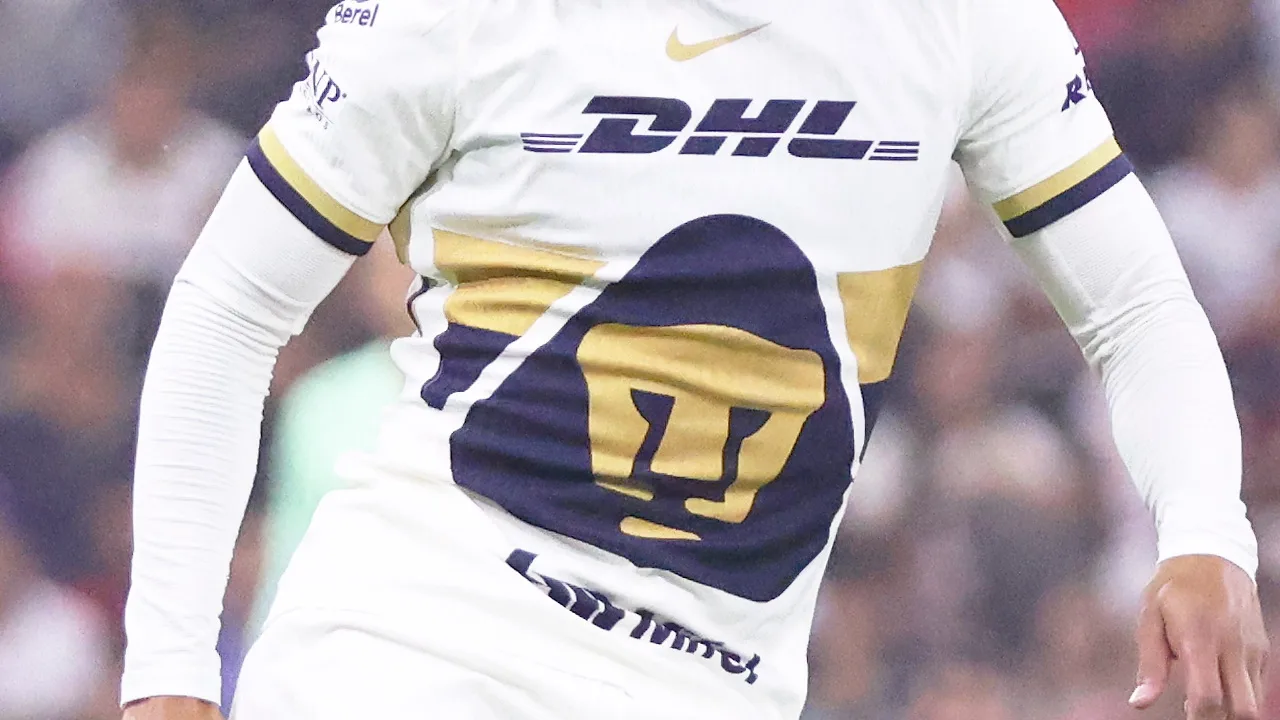 Pumas y su mercado de verano.