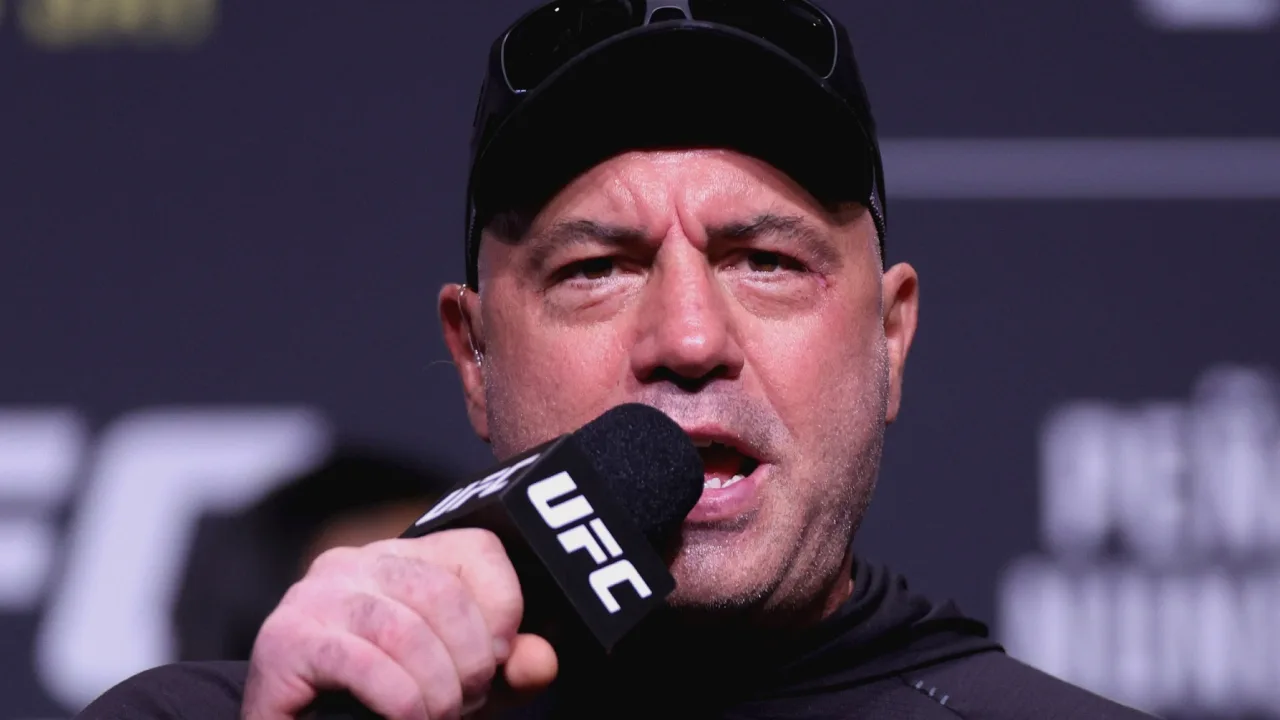 Joe Rogan, UFC