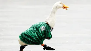 Dónde comprar a Merlín, la mascota sensación en México del Mundial 2026 y cuánto cuesta