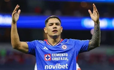 Toro Fernández