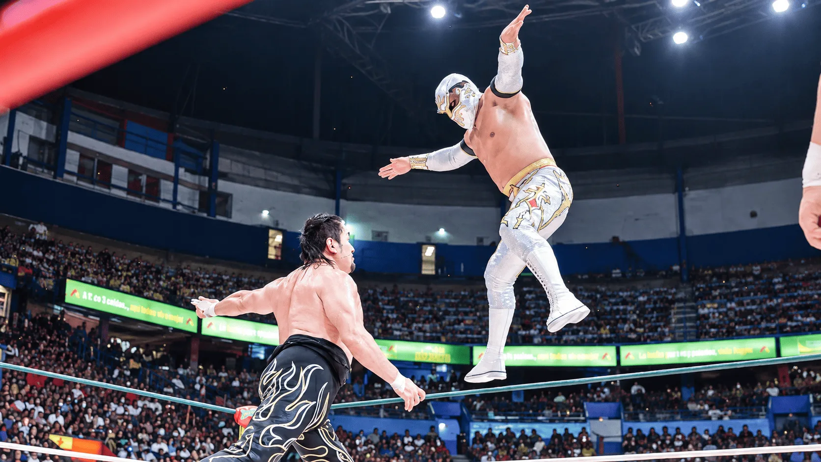 Una semana cargada en la lucha libre.