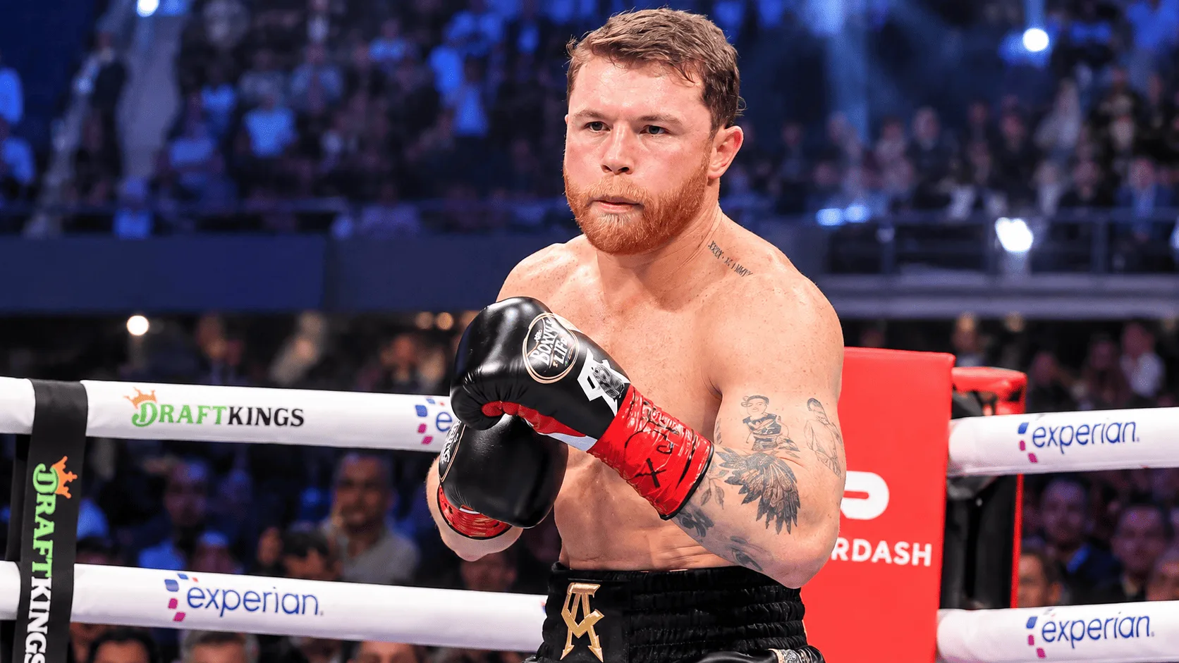 Canelo se frota las manos.