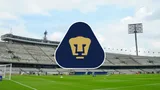 Pumas