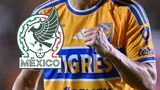 Tigres